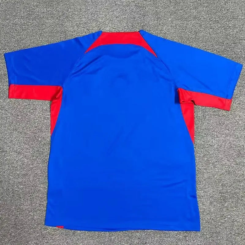 slovakia home jersey 2024