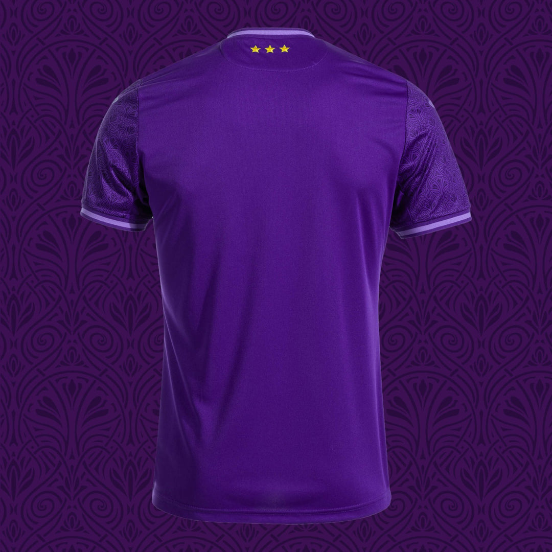 Anderlecht Home Jersey 2024/25