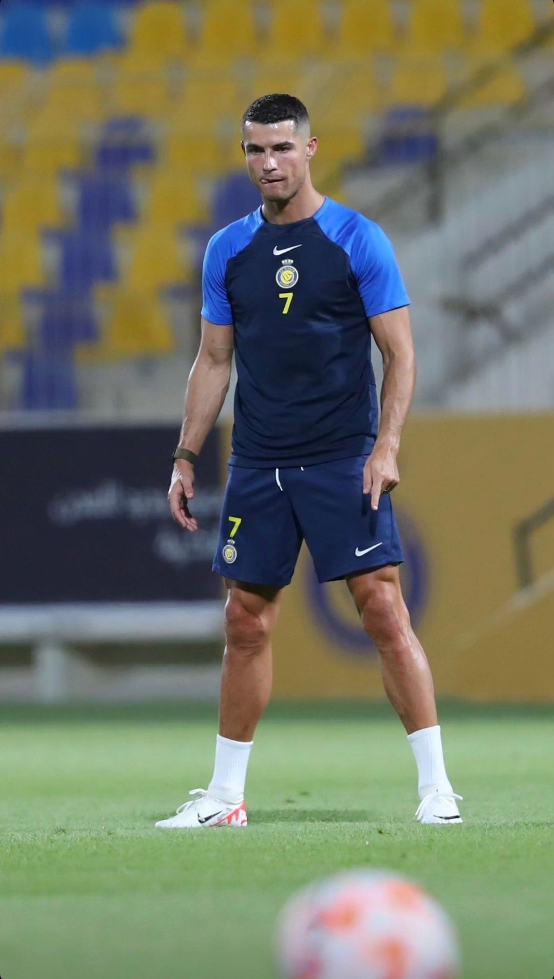 AL Nassr TRAINING jersey 23/24 - uaessss