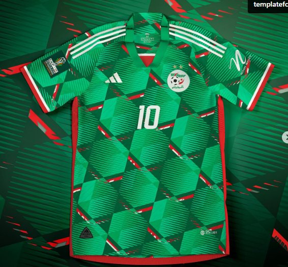 ALGERIA SPECIAL EDITION green JERSEY 2024 - uaessss