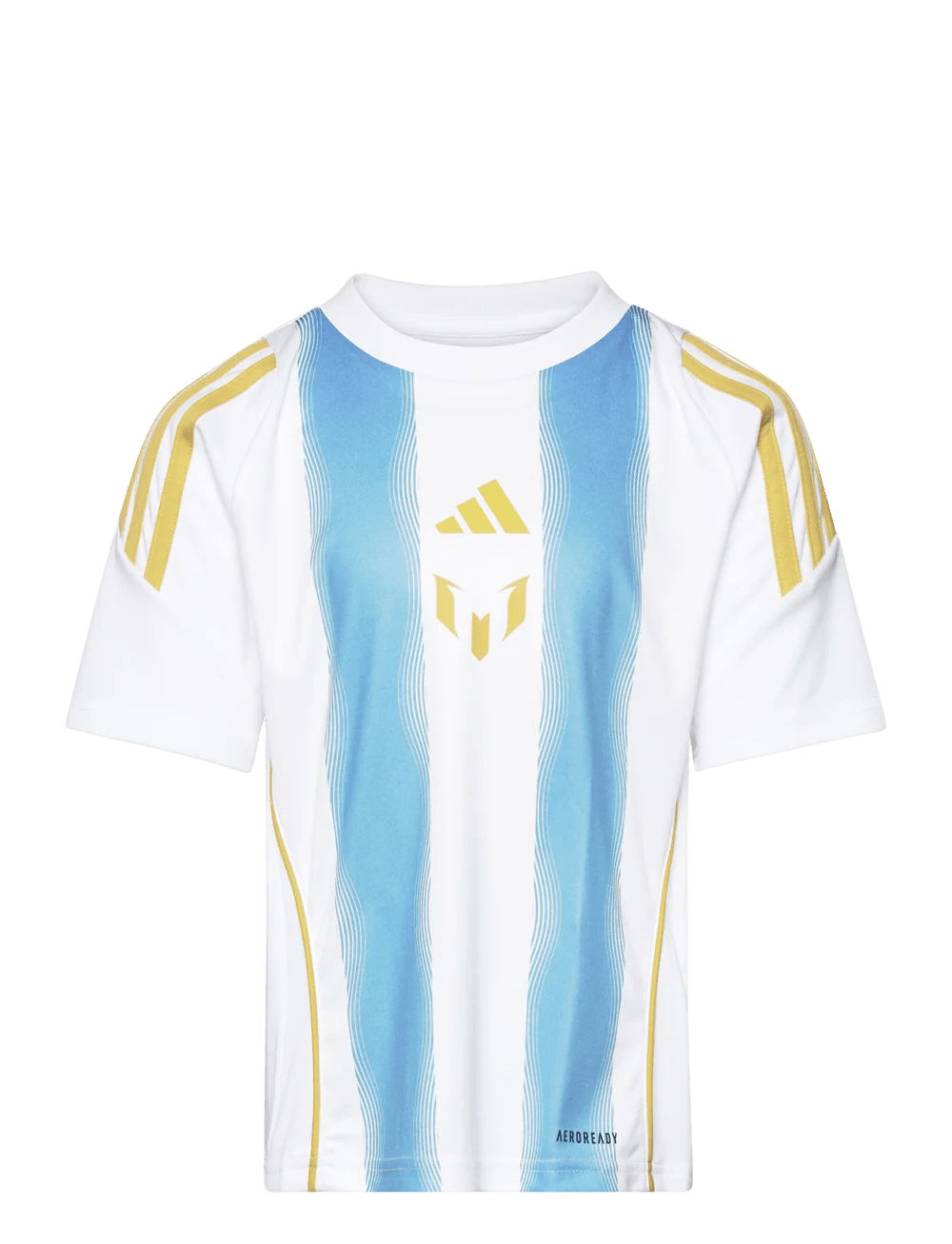 Argentina Messi Training Jersey 24/25 - uaessss