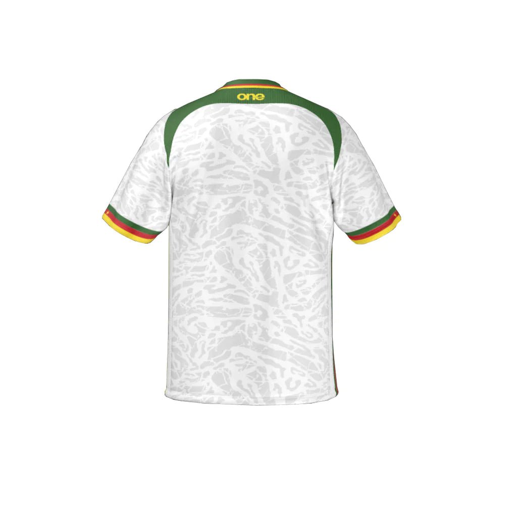 Cameroon THIRD JERSEY 24 - uaessss