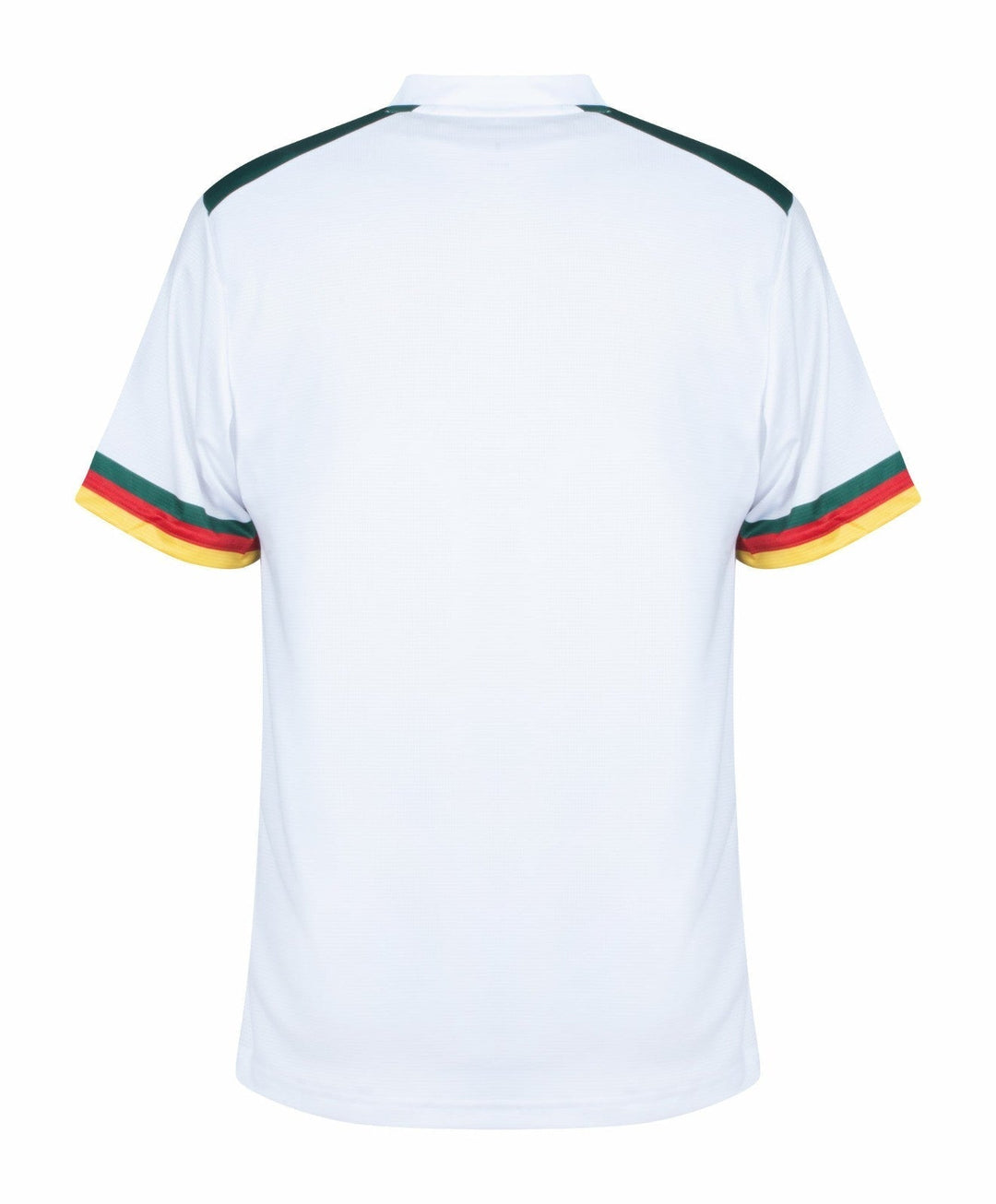 Cameroon World Cup Away kit 2022 - uaessss