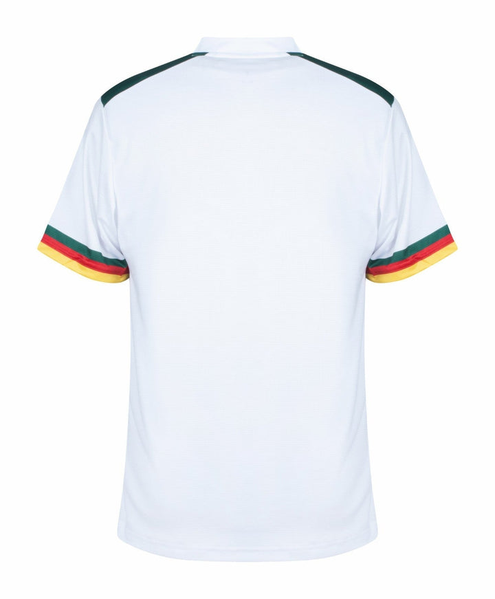 Cameroon World Cup Away kit 2022 - uaessss