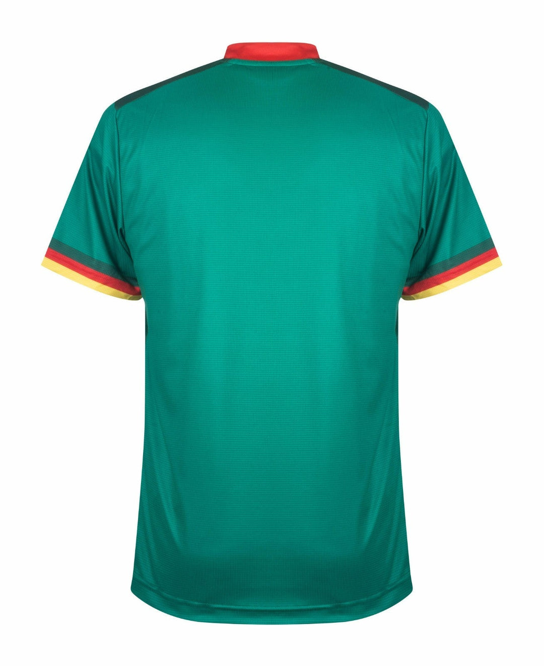 Cameroon World Cup home kit 2022 - uaessss