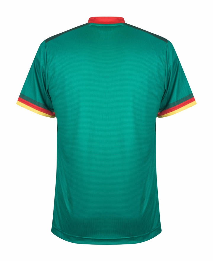 Cameroon World Cup home kit 2022 - uaessss