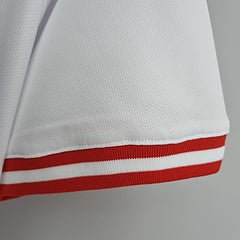 Denmark away jersey 2021 - uaessss