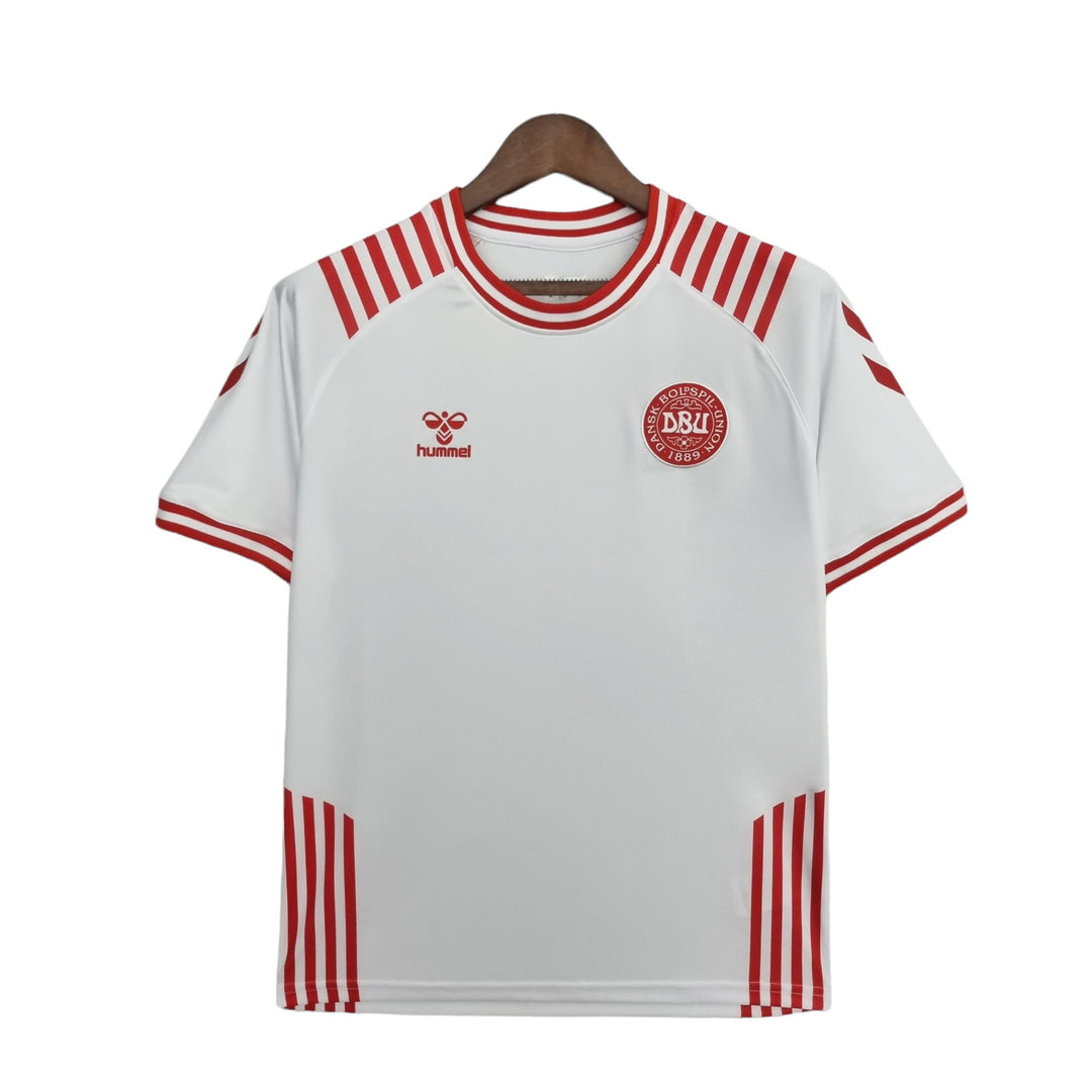 Denmark away jersey 2021 - uaessss