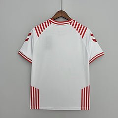 Denmark away jersey 2021 - uaessss