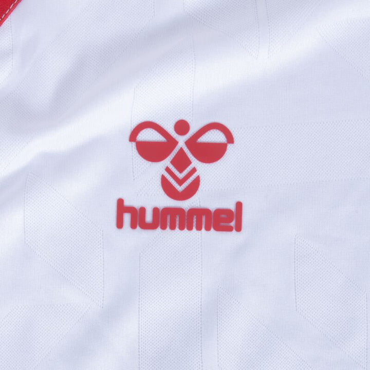 Denmark Away Shirt 2023 - 2024 - uaessss