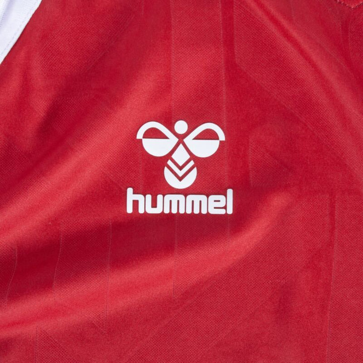 Denmark HOME JERSEY 2023 - 2024 - uaessss