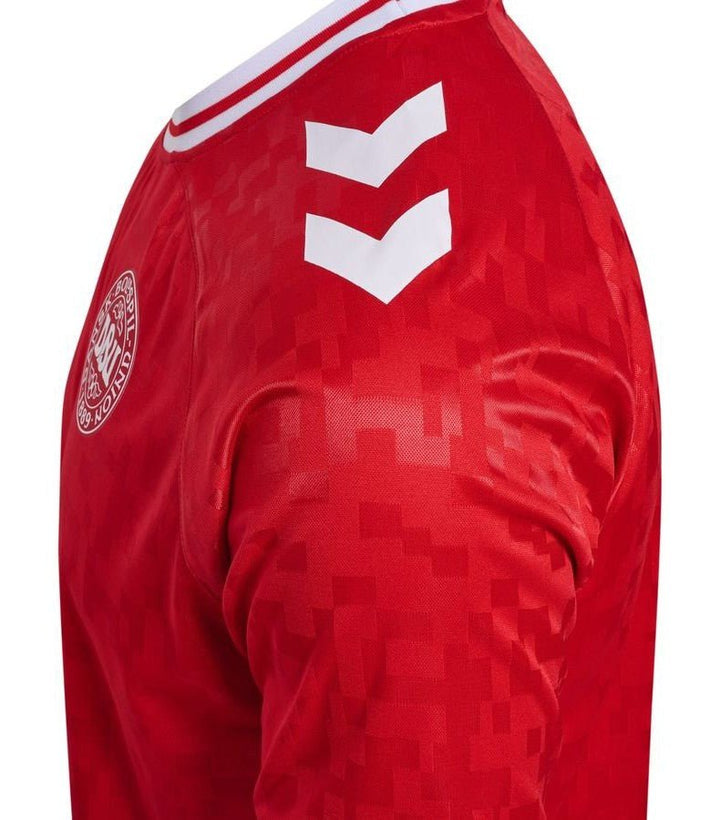 Denmark HOME JERSEY 2024/25 - uaessss