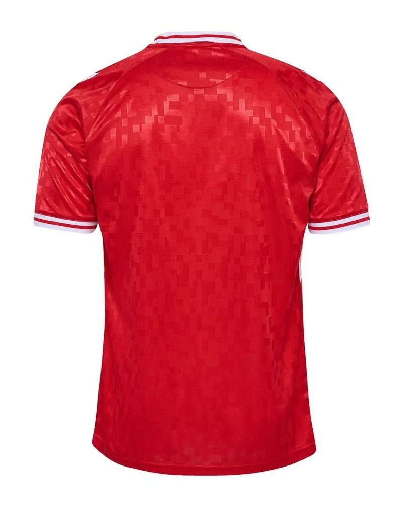 Denmark HOME JERSEY 2024/25 - uaessss