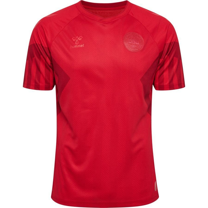 Denmark WORLD CUP HOME jersey 2022/23 - uaessss