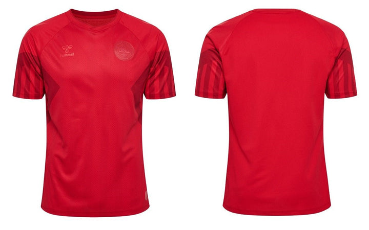 Denmark WORLD CUP HOME jersey 2022/23 - uaessss