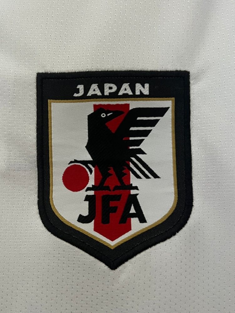 Japan RORONOA ZORO Special Edition Jersey 23/24 - uaessss