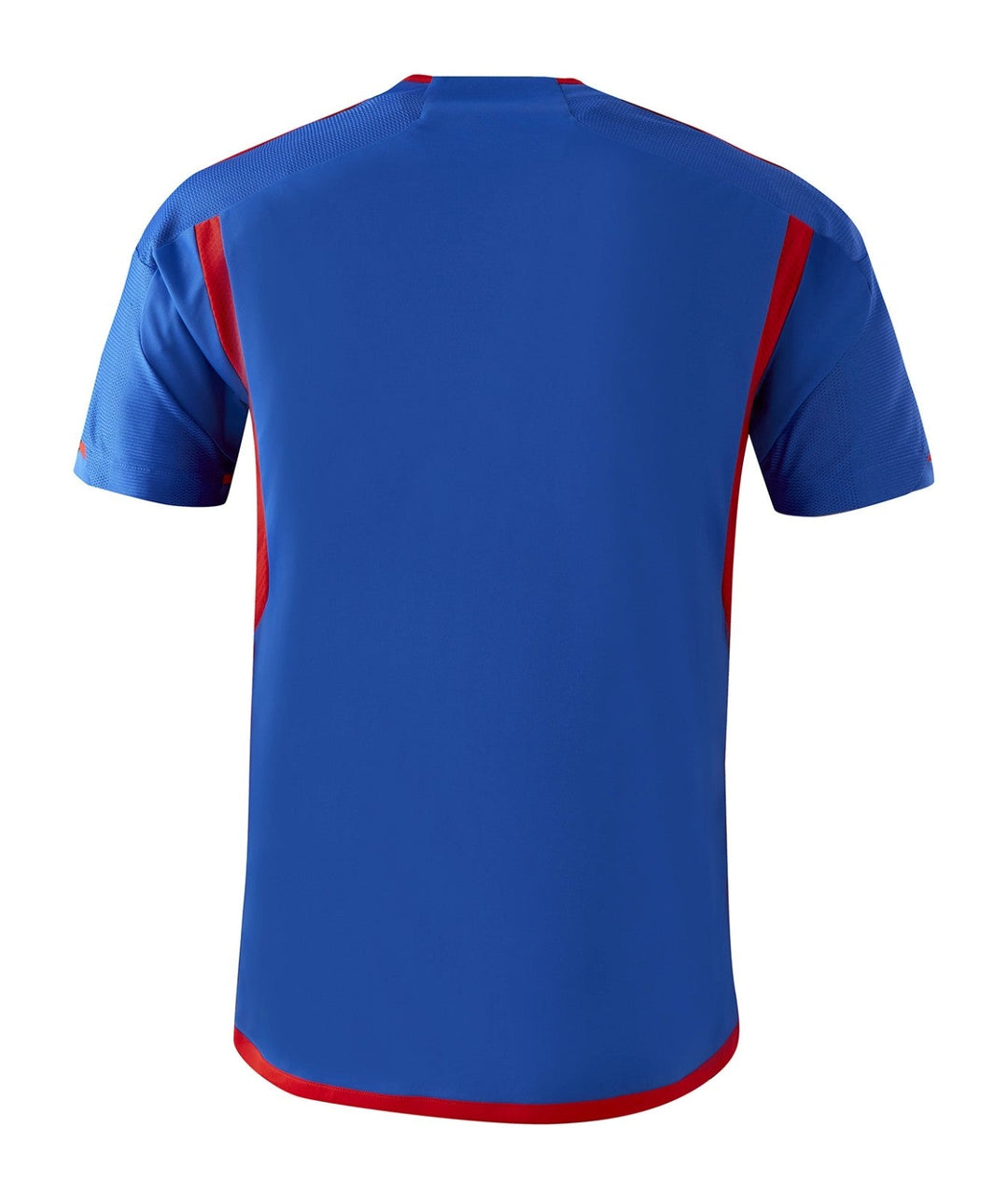 Lyon AWAY jersey 2023/24 - uaessss