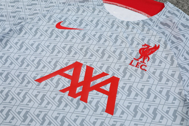 LFC GREY training  shirt & short KIT 2023/24