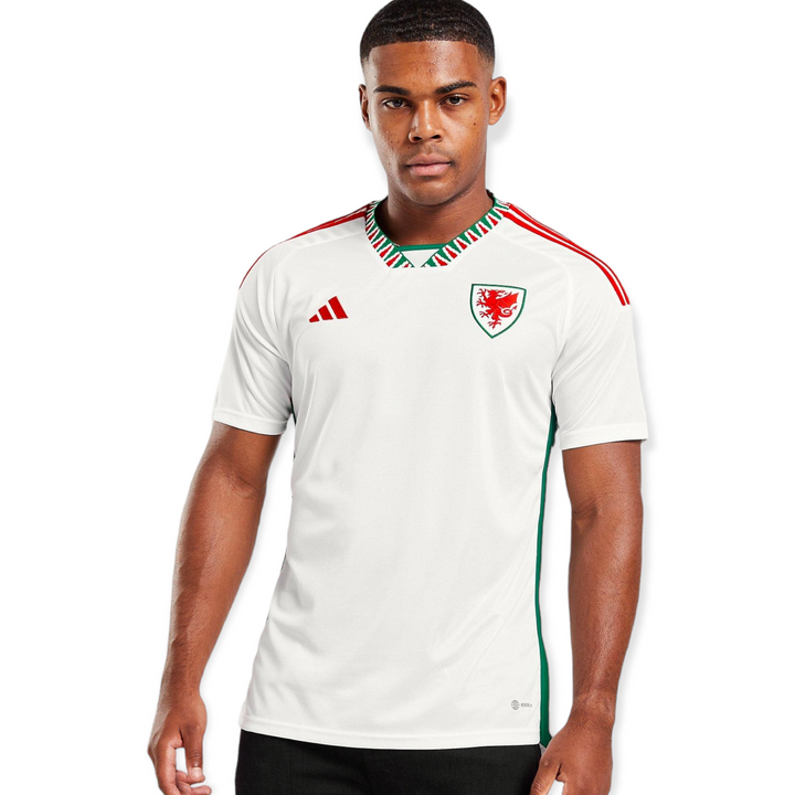 Wales World Cup AWAY JERSEY 2022/23