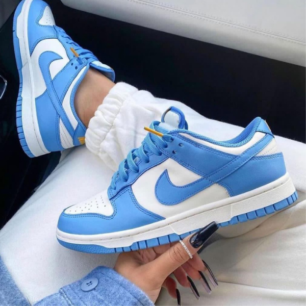 Nike Dunk Low Coast